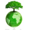 PLANT A TREE- SAVE THE PLANET